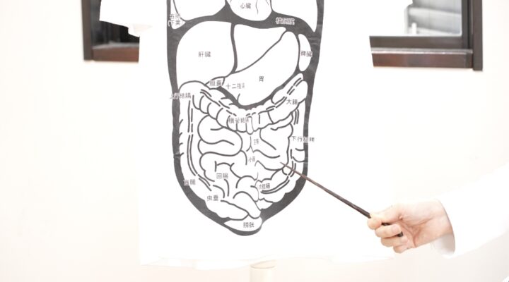 これからは小腸と腸間膜の時代！？の画像